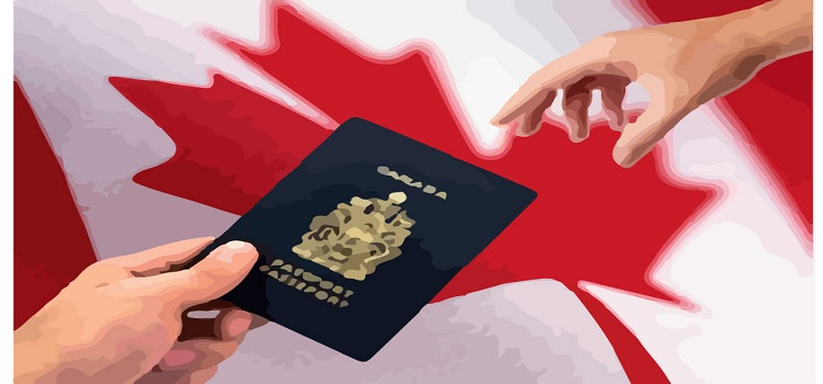 Canada immigration consultants in Chandigarh