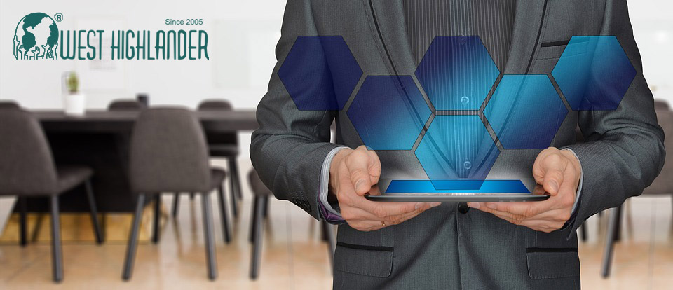 Business visa consultant