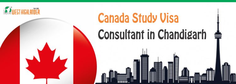 Canada Study Visa Consultant in Chandigarh