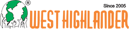 Landing Page Logo