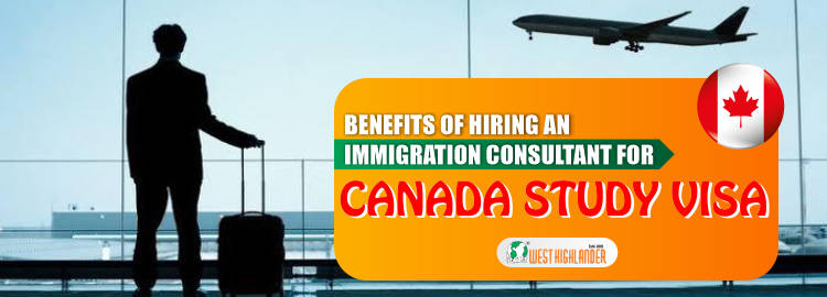 Benefits of Hiring an Immigration Consultant for Canada Study Visa